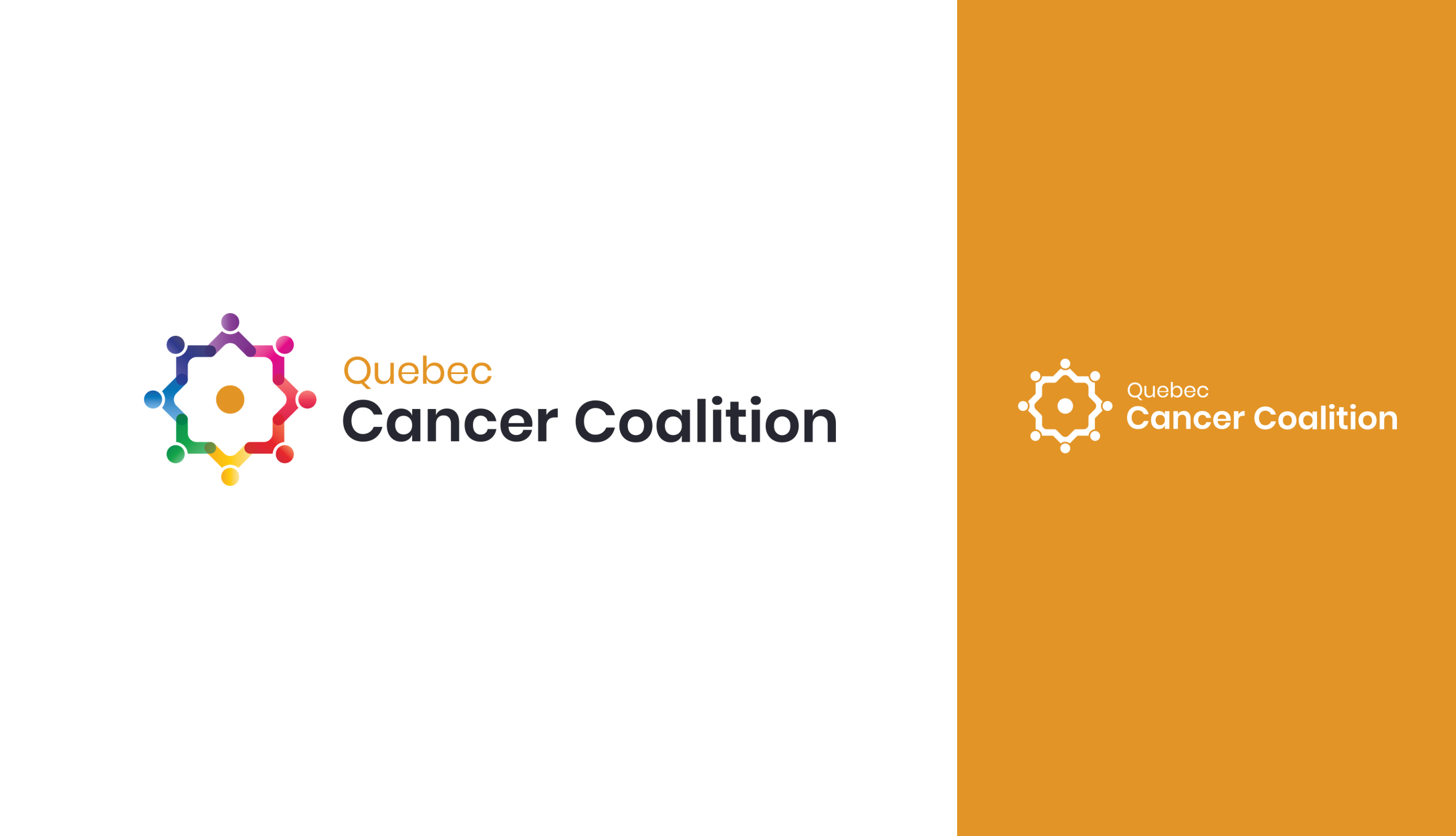Cancer Coalition banner